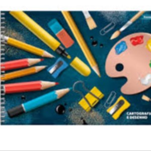 CADERNO CARTOGRAFIA C/ D 96FL