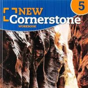 NEW CORNERSTONE 5 SB